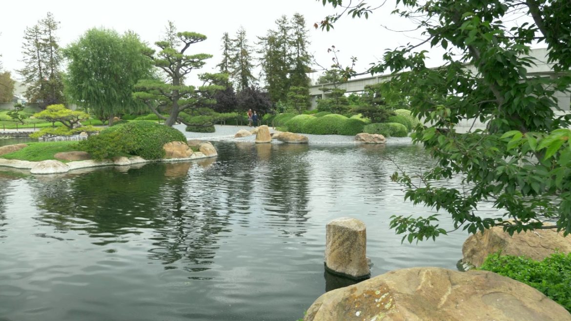 Panasonic GH5 video and photo testing, Japanese Garden Panasonic GH5 video and photo testing, Japanese Garden