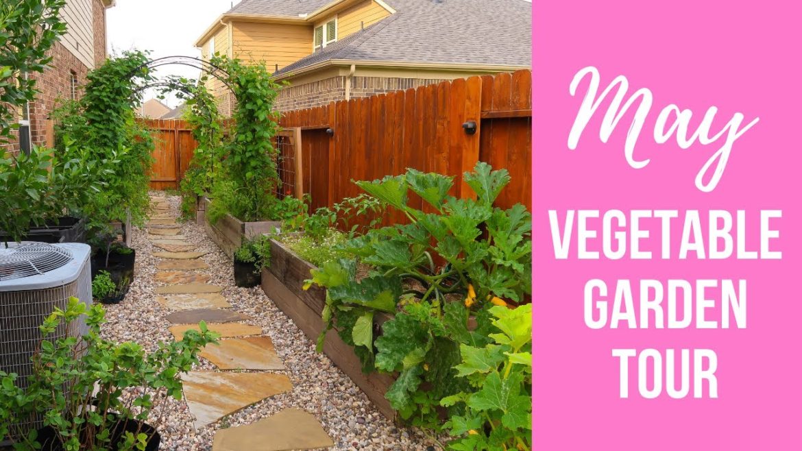 MAY Vegetable Garden Tour | Small Backyard Garden