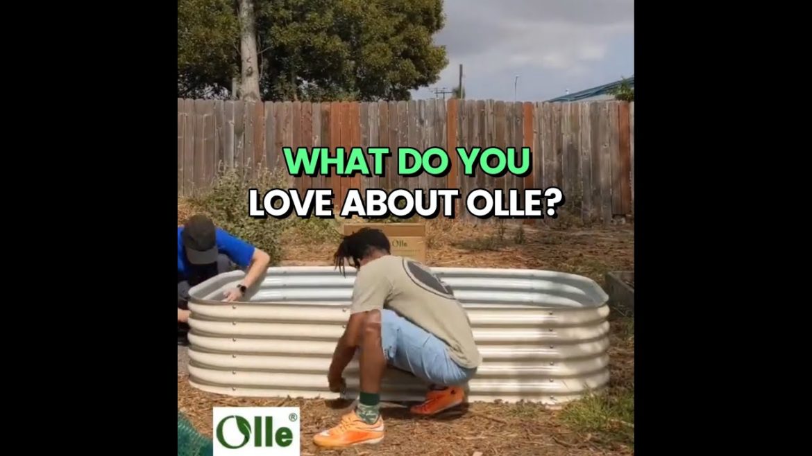 What does a garden bed get you besides a good harvest