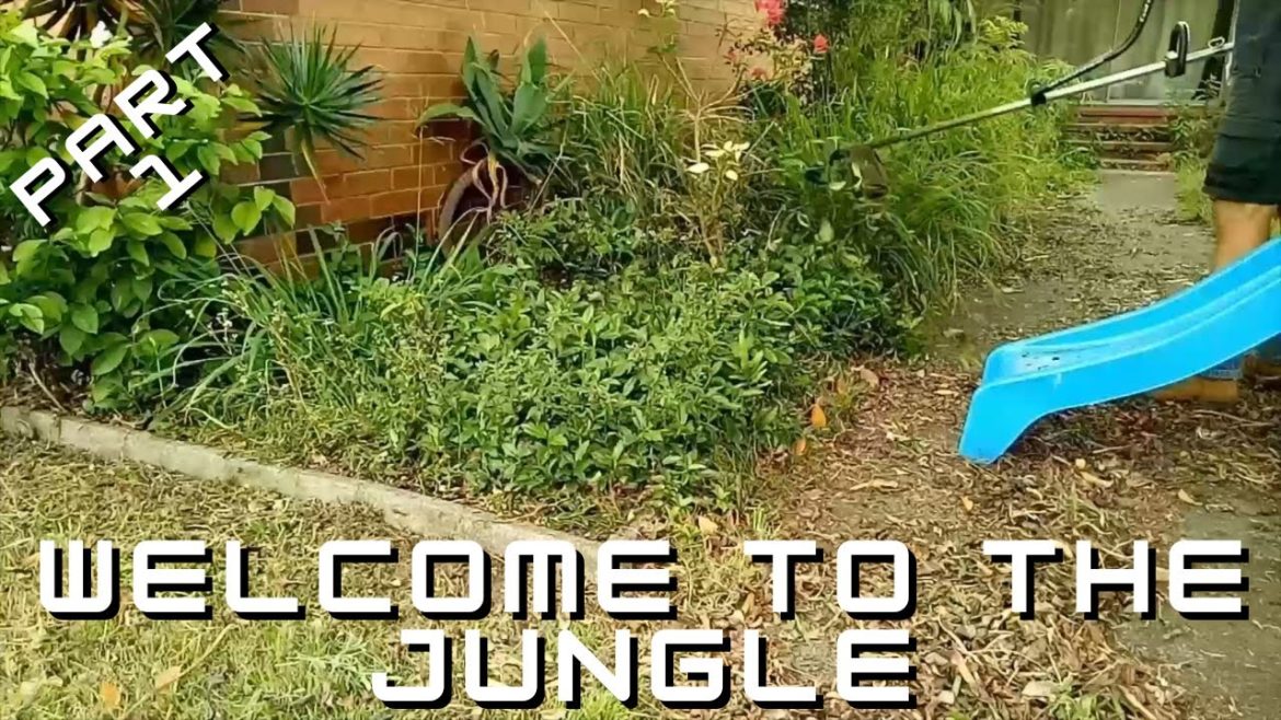This Overgrown Yard Clean Up Nearly Defeated Me !! Part 1