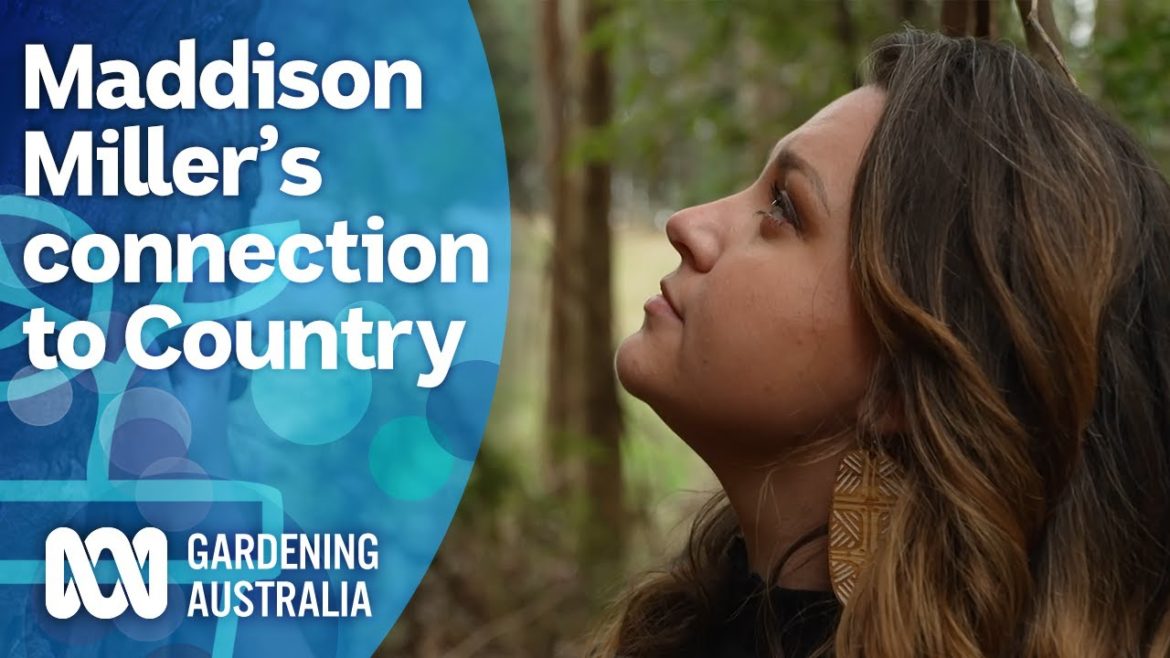 The academic and artist working to connect us to Country | My Garden Path | Gardening Australia