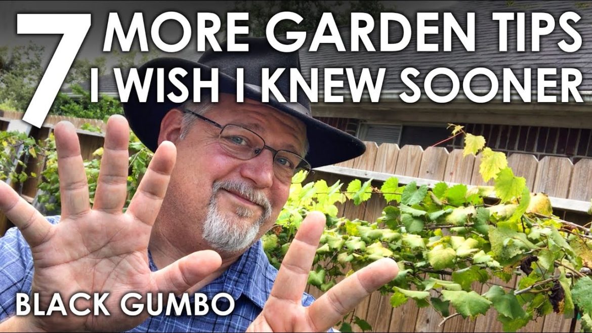 7 MORE Garden Tips I Wish I Knew Sooner || Black Gumbo