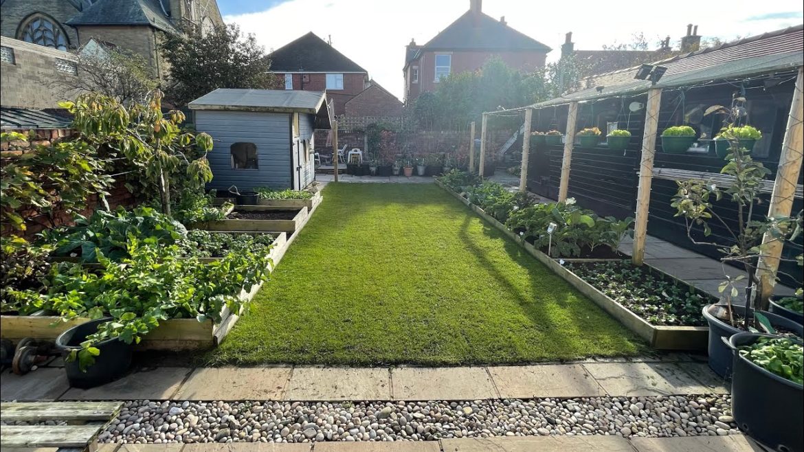 The autumn kitchen garden | late October