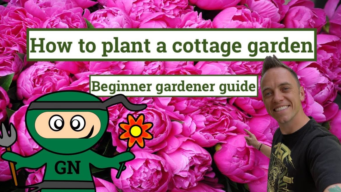 How to create a cottage garden: beginner guide to gardening How to create a cottage garden: beginner guide to gardening