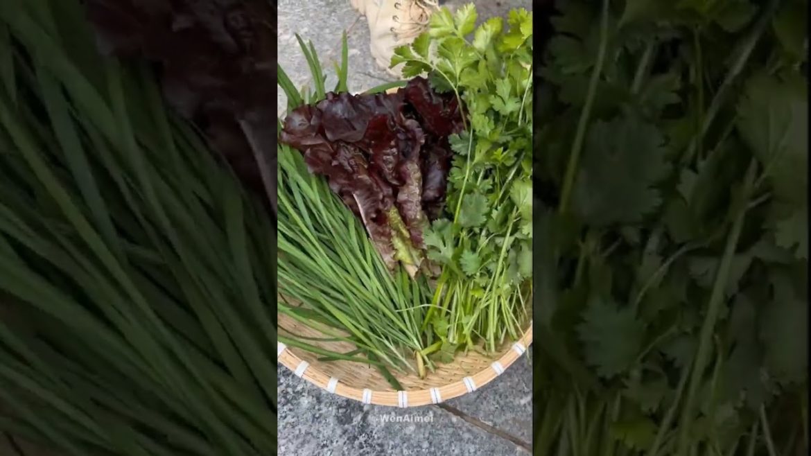 Beautiful Nature with Rural Life #shorts #naturalife #rurallife