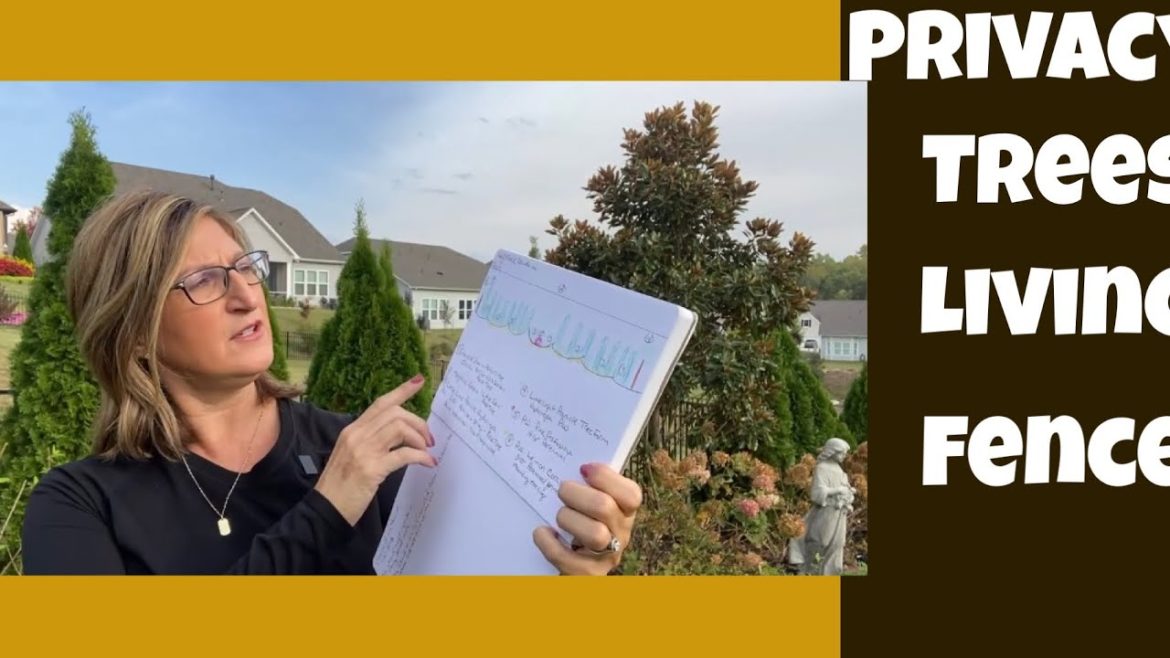 8 LIVING FENCE IDEAS:  BACKYARD PRIVACY: BEST PRIVACY TREES FOR ZONE 4-9