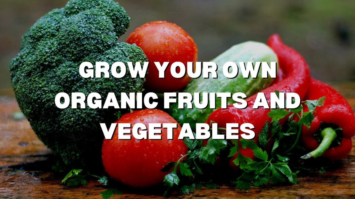 How to grow your own organic fruits and vegetables?