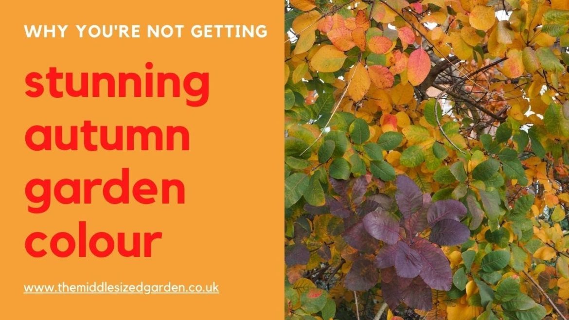 Get the best autumn colour – fall garden tips and tour Get the best autumn colour - fall garden tips and tour