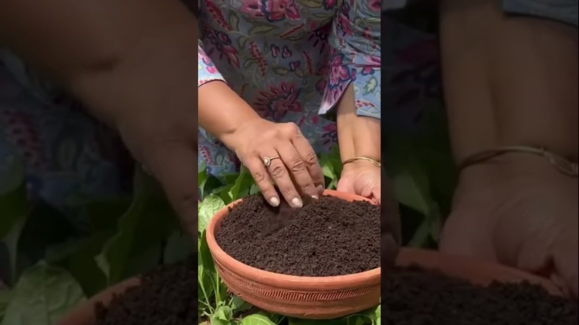 ये हमें और दे भी क्या सकते हैं ये हमें और दे भी क्या सकते हैं
