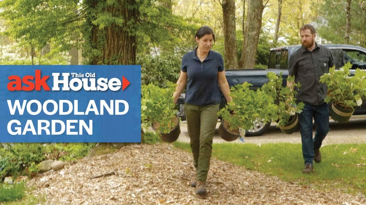 How To Create a Woodland Garden | Ask This Old House