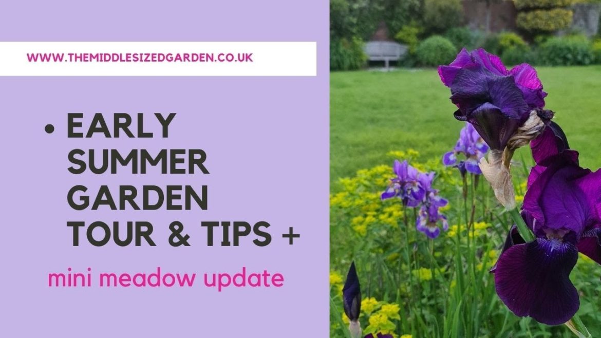 Early summer garden tips and tour - plus mini meadow update