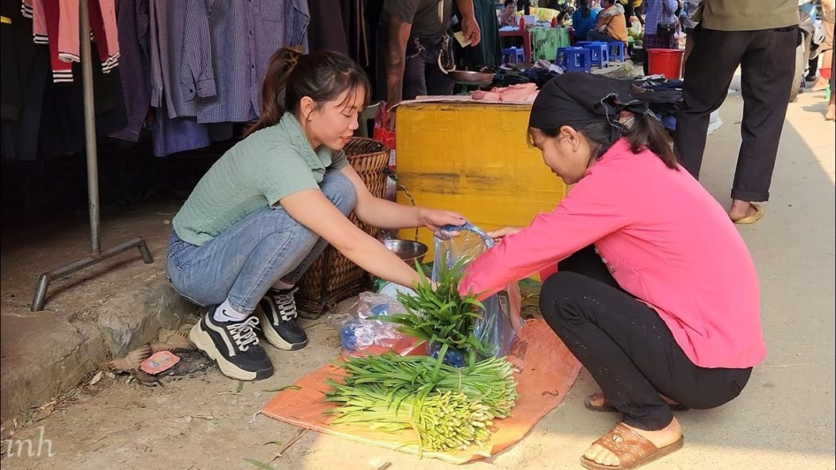 Harvest Vegetables Garden & Ginger Goes to the Market To Sell | Lý Thị Ninh