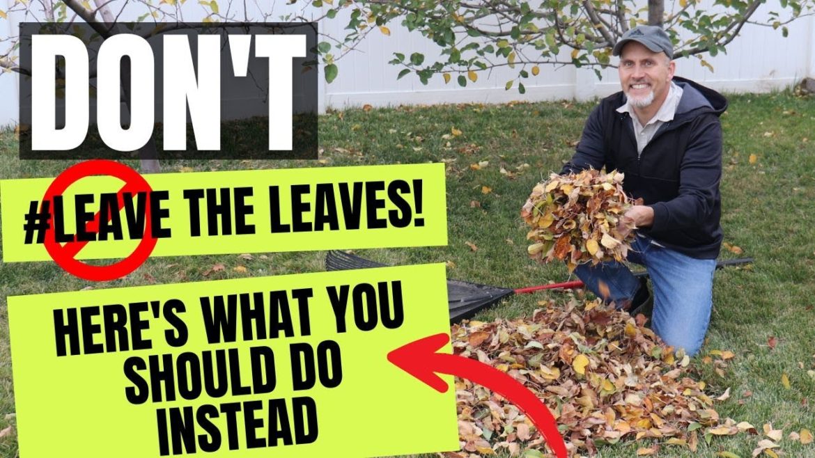 Don’t Leave Your Leaves - 4 Ideas You Should Do Instead