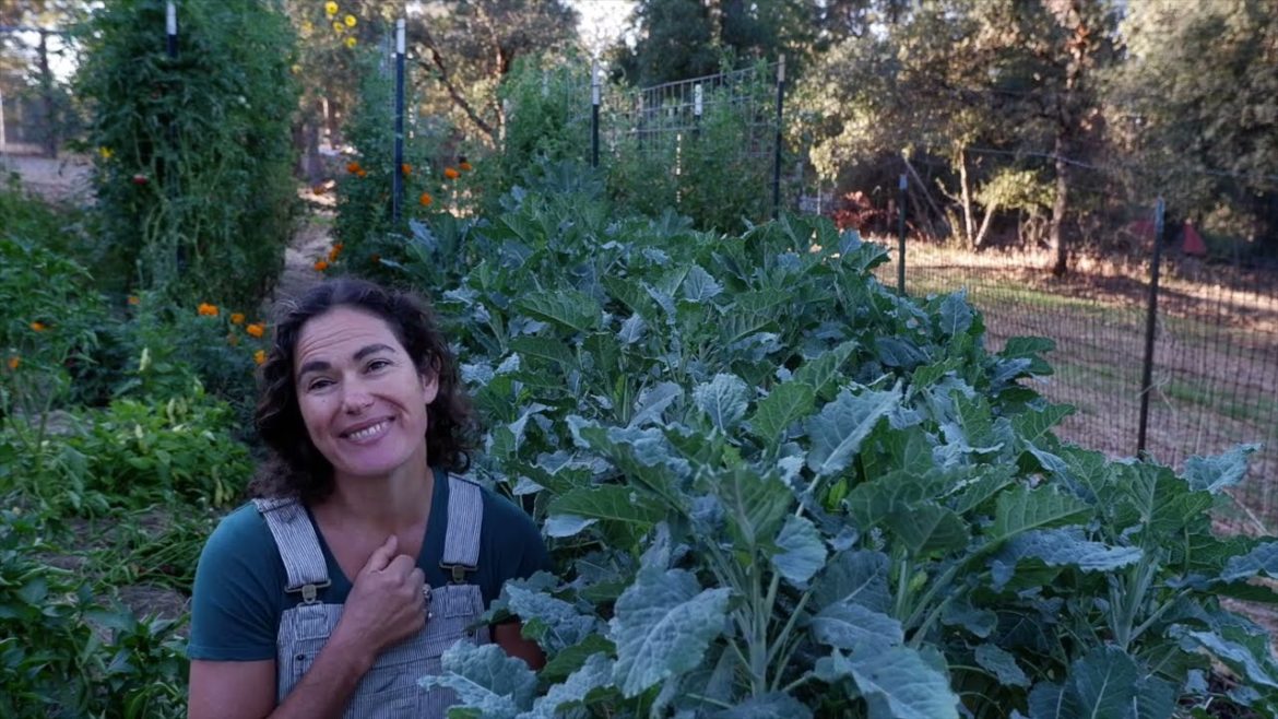 Everything You Need To Know About Michigan Tree Collards
