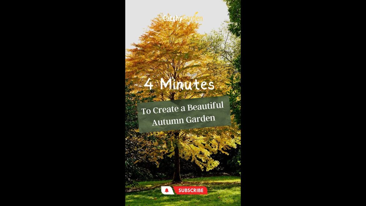 4 Minutes To Create a Beautiful Autumn Garden 🌳🍁🍀 // #short #shorts 4 Minutes To Create a Beautiful Autumn Garden 🌳🍁🍀 // #short #shorts