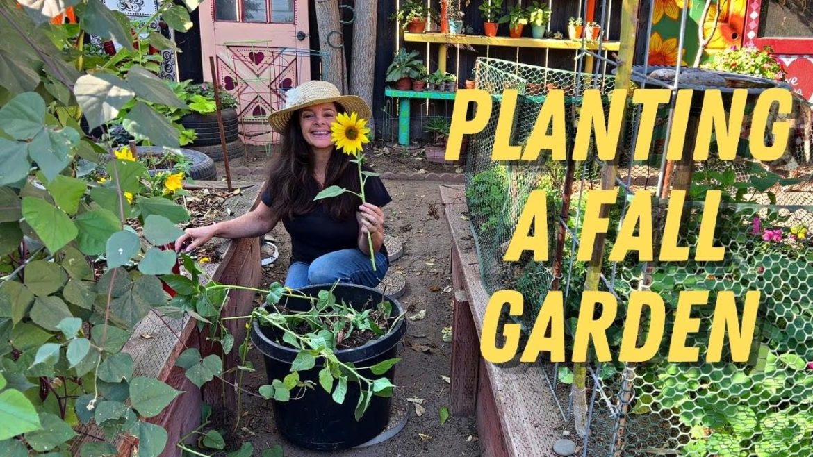 Fun Day in the Garden Planting Lettuce & Cutting Flowers!