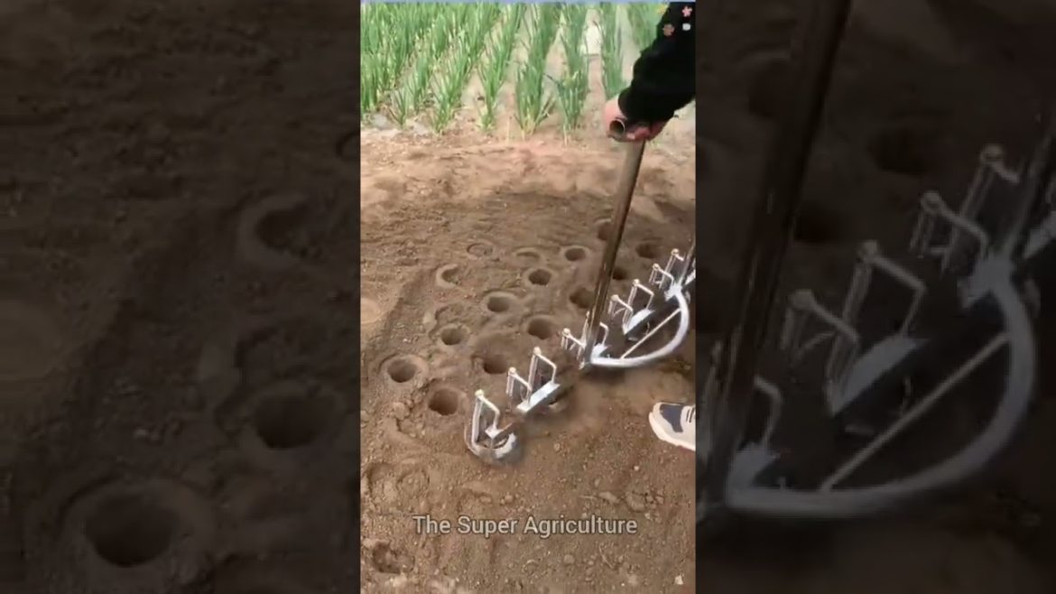 Amazing Agriculture Equipment | Best Gardening Tools #shorts #agriculture #agriculture