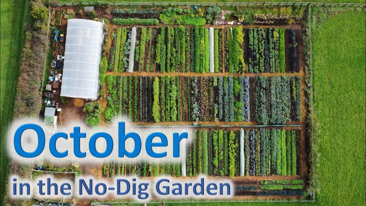 October in the Regenerative Market Garden October in the Regenerative Market Garden