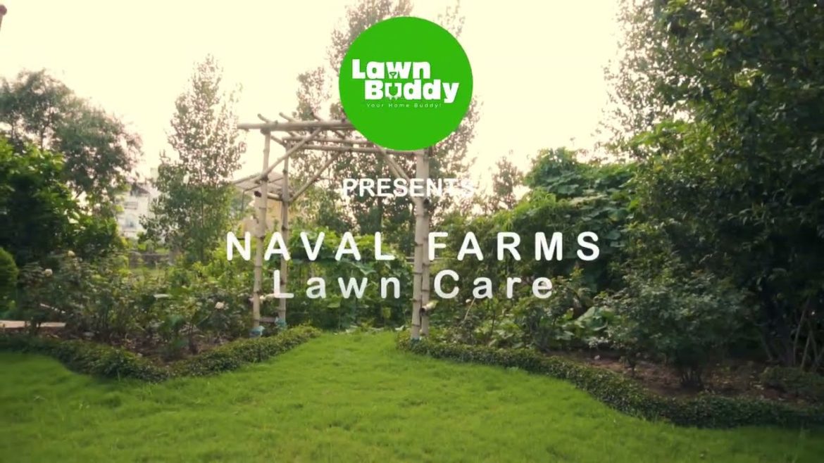 Lawn Maintenance at Naval Farms | LawnBuddy | 5 Kanal Farmhouse | Islamabad Lawn Maintenance at Naval Farms | LawnBuddy | 5 Kanal Farmhouse | Islamabad