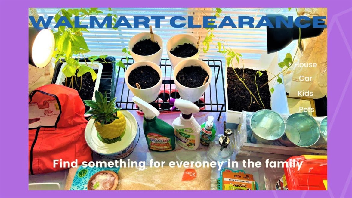 Walmart Clearance Haul💕🛍️ Glimpse Of Balcony Fall ￼ Garden🪴🐛