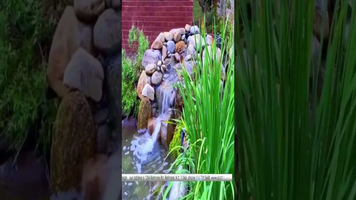 Rebuilding a damaged pond and Repairing its leaky waterfall