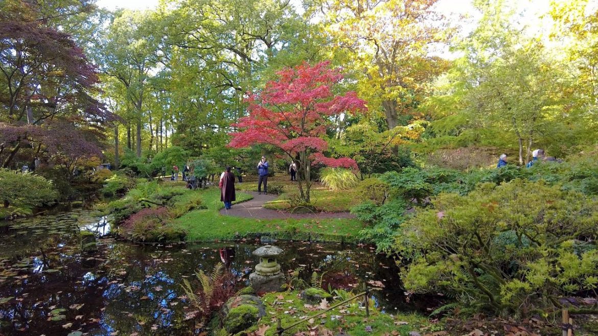 Autumn Walk in the Hague | Clingendael Park 🍃 Japanese Garden | The Netherlands 2022 | 4K60