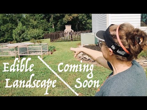 EDIBLE Landscape Coming Soon! | EXCITING plans for GARDEN goodness EDIBLE Landscape Coming Soon! | EXCITING plans for GARDEN goodness