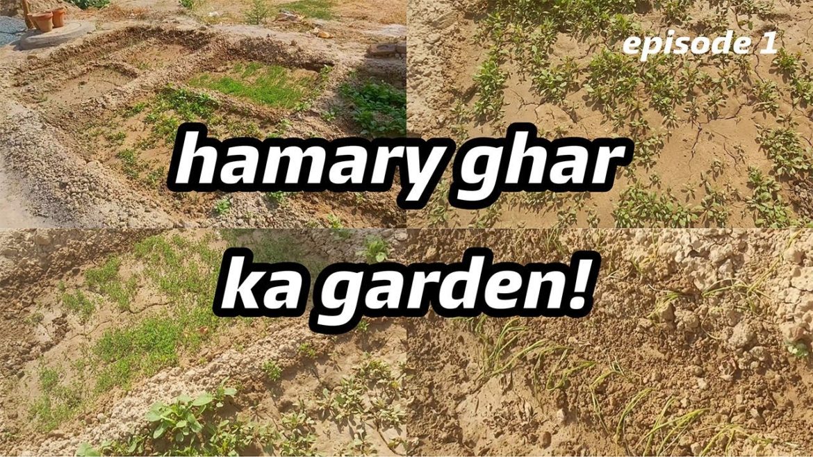 Mama ki khuwahish par garden ka visit | tips for gardening from mama | Gull e Zeenat