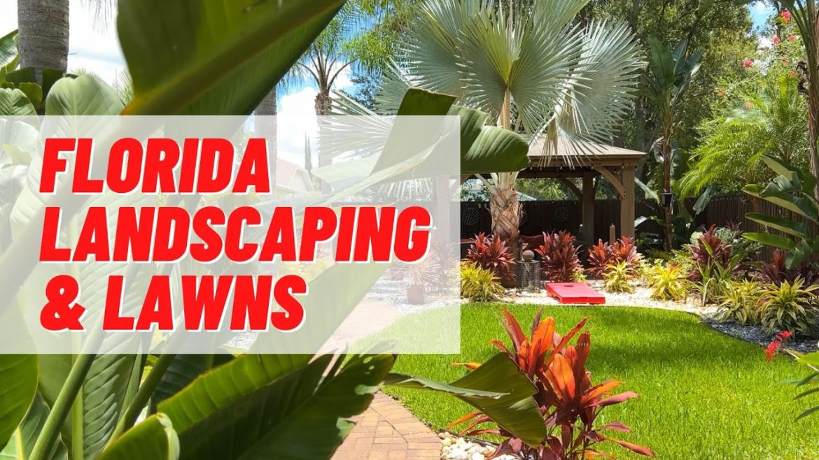 Florida Lawn & Landscaping Tips from a Pro Florida Lawn & Landscaping Tips from a Pro
