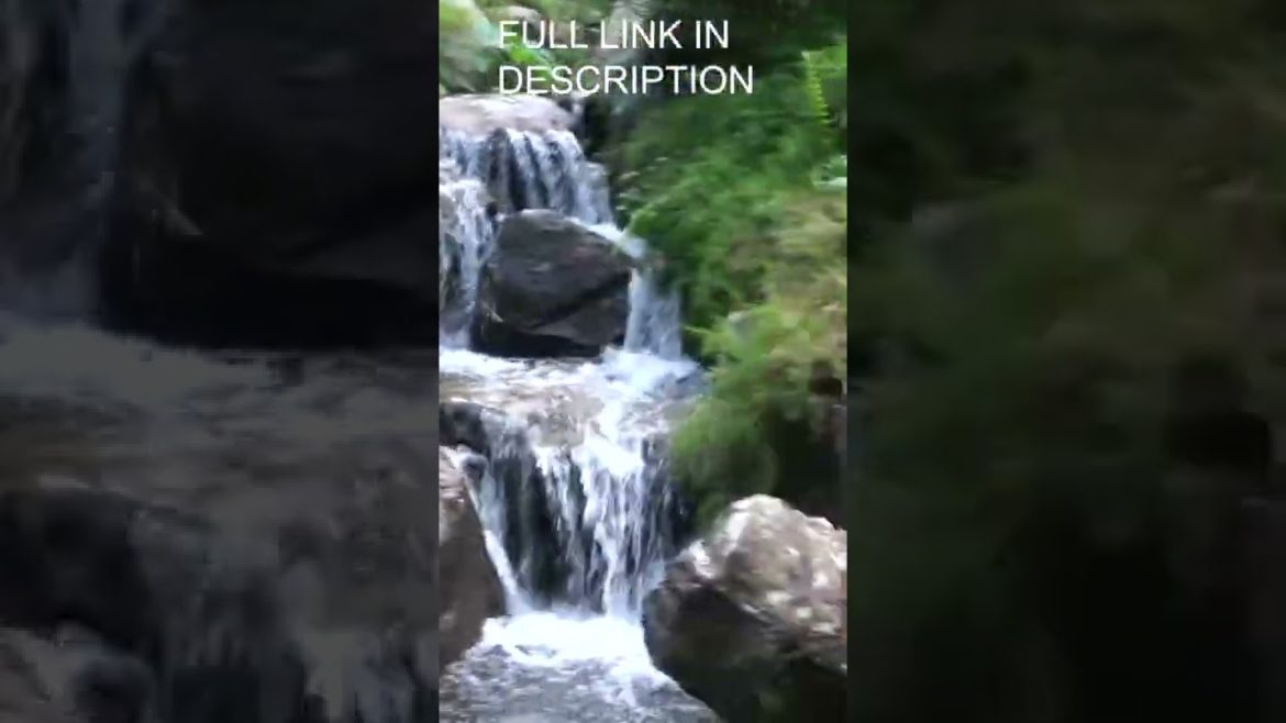 Enjoy Japanese Garden Mini Waterfalls. Enjoy Japanese Garden Mini Waterfalls.