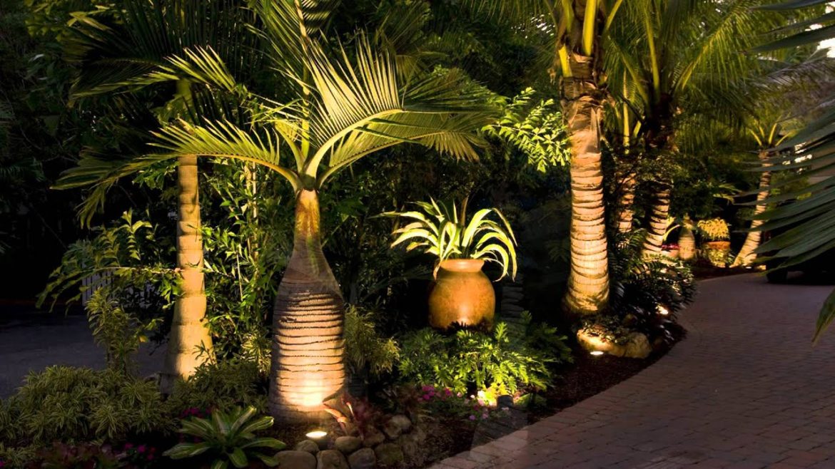 Landscaping Sarasota Florida with Tropical Palm Trees