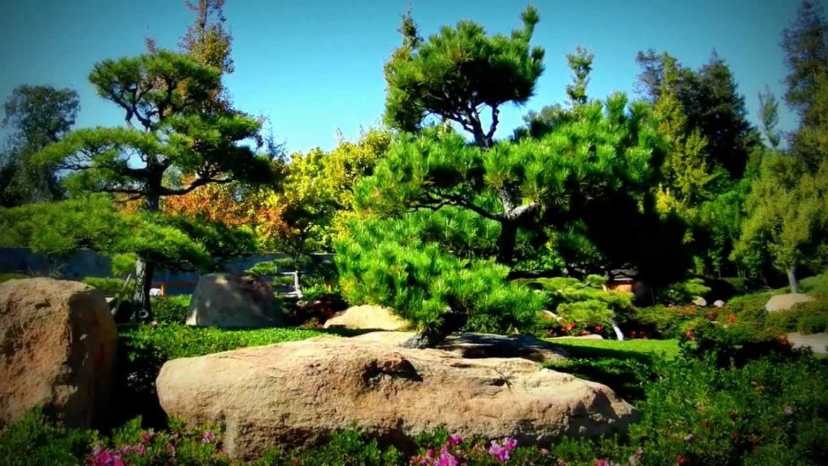 Japanese Garden in Van Nuys, Caliifornia
