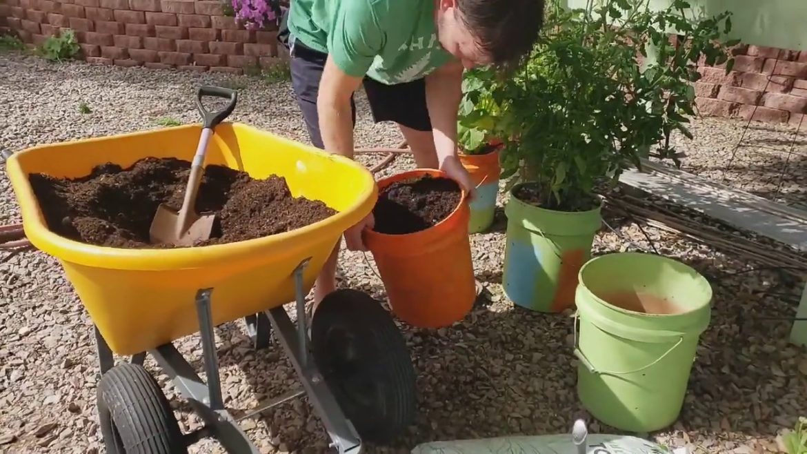 Preparing soil for container gardening with the family.