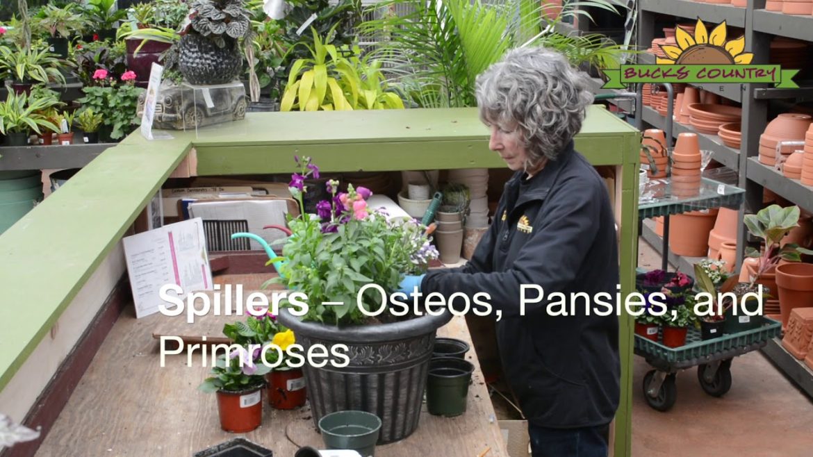 Can You Dig It? – Create a Spring Container Garden Can You Dig It? – Create a Spring Container Garden