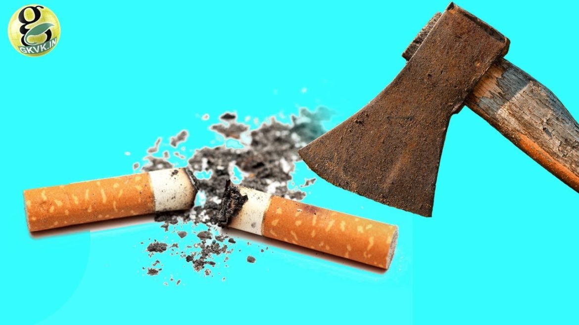 UNIQUE Gardening Tricks and HACKS – PART 5 by Garden Tips