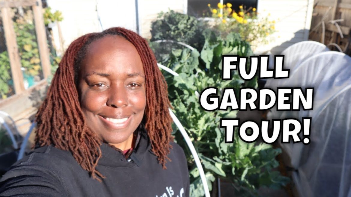 Final FULL Garden Tour of 2022 Final FULL Garden Tour of 2022