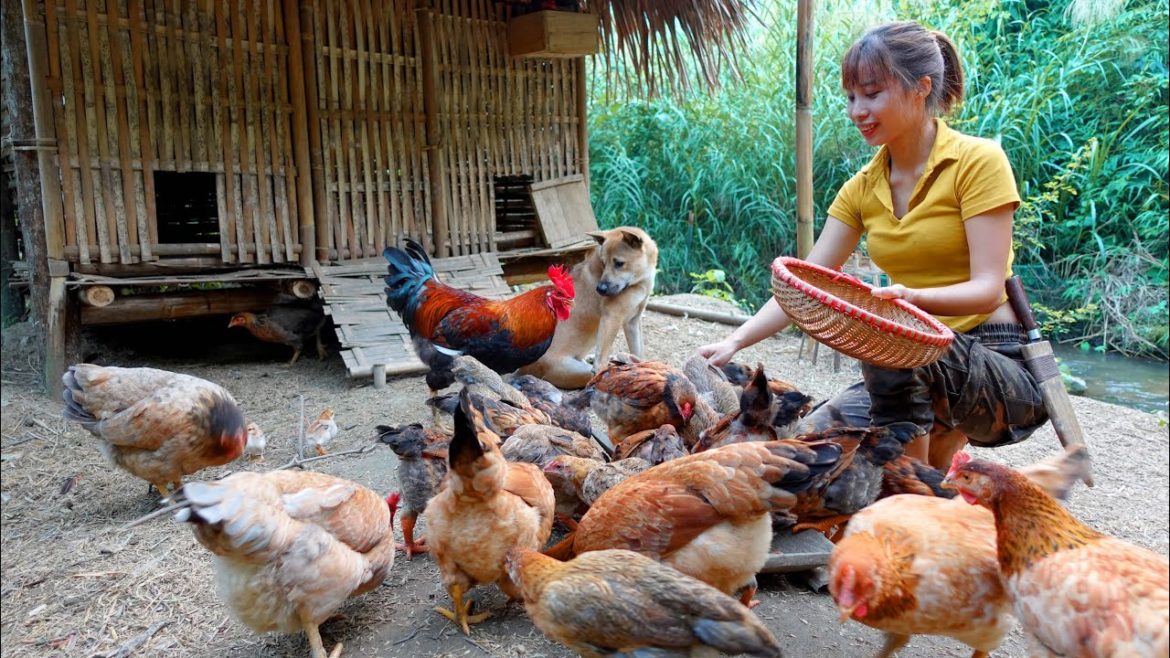 Harvest the first fruits and complete the winter garden - Ana Bushcraft Ep.56