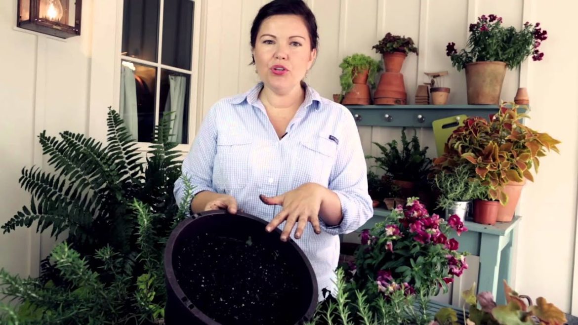 How to Plant a Container Garden for Your Patio Table