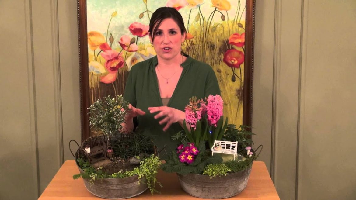 The differences between Miniature and Fairy Gardens
