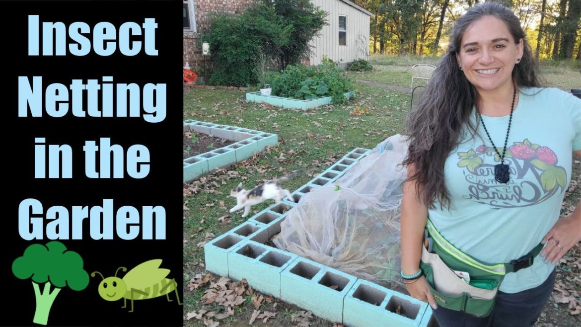 What is Insect Netting Used For | Fall Gardening | Best Way to Grow Broccoli