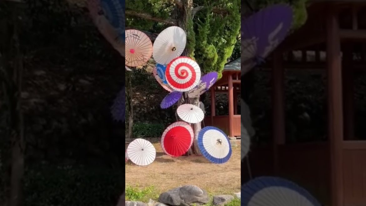 Japanese Park Art Exhibit - Dogo Koen. #japan #travelphotography #ehime