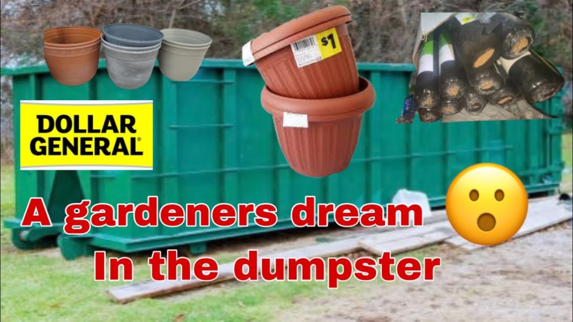 DUMPSTER DIVING | A DUMPSTER FULL OF GARDEN SUPPLIES | DUMPSTER QUEEN DUMPSTER DIVING | A DUMPSTER FULL OF GARDEN SUPPLIES | DUMPSTER QUEEN