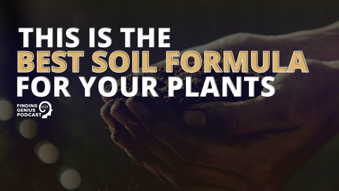 This Is the Best Soil Formula for Your Plants #shorts This Is the Best Soil Formula for Your Plants #shorts