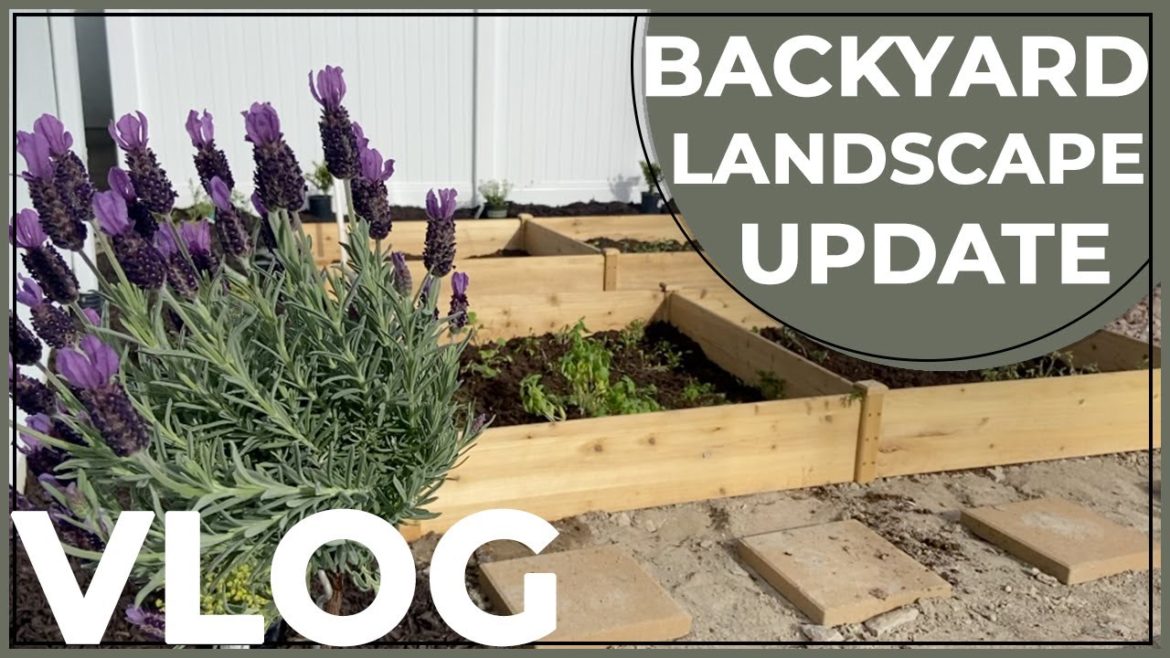 Backyard Landscaping Ideas On A Budget || Low Maintenance Landscaping Ideas || Garden Bed Planting Backyard Landscaping Ideas On A Budget || Low Maintenance Landscaping Ideas || Garden Bed Planting