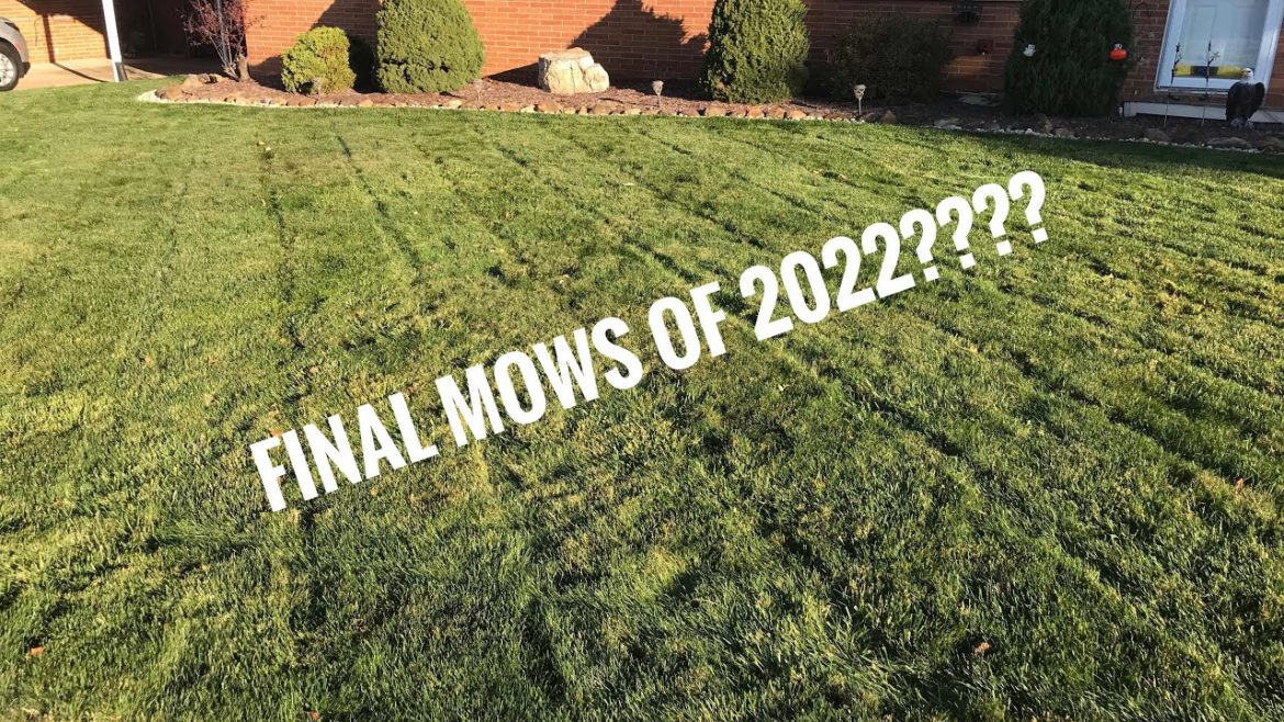 Monday mowing and the importance of service agreements