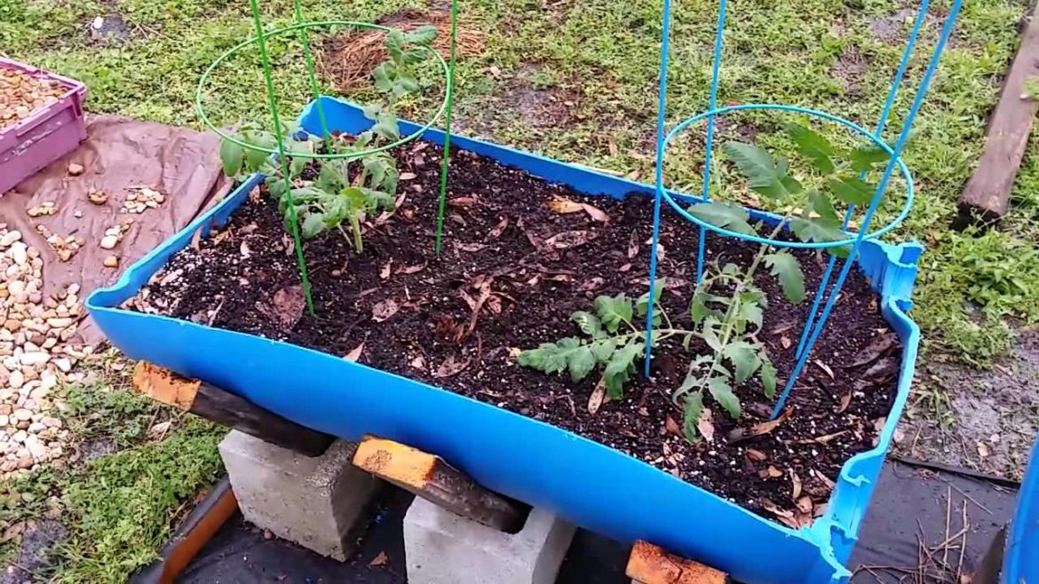 Easy cheap diy vegetable container garden ep 63