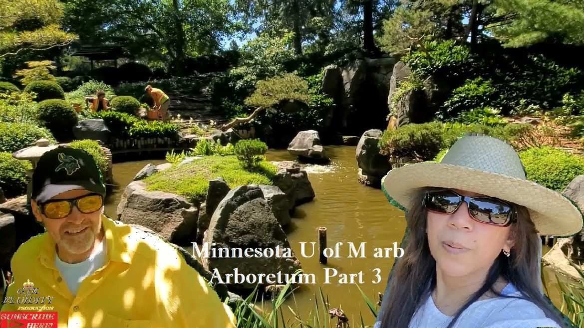 Arboretum Landscape Botanical Gardens arb Japanese, Naturalistic, Sculptures U of M MN Part 3 of 3