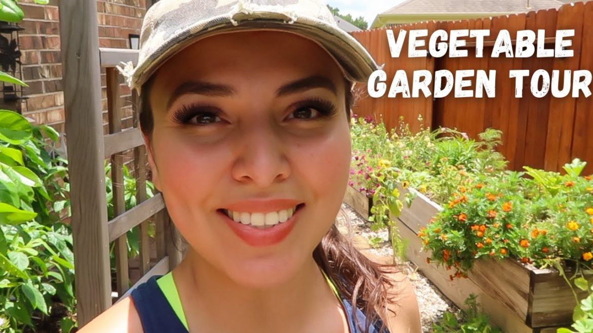JULY Vegetable Garden Tour | Small Backyard Garden