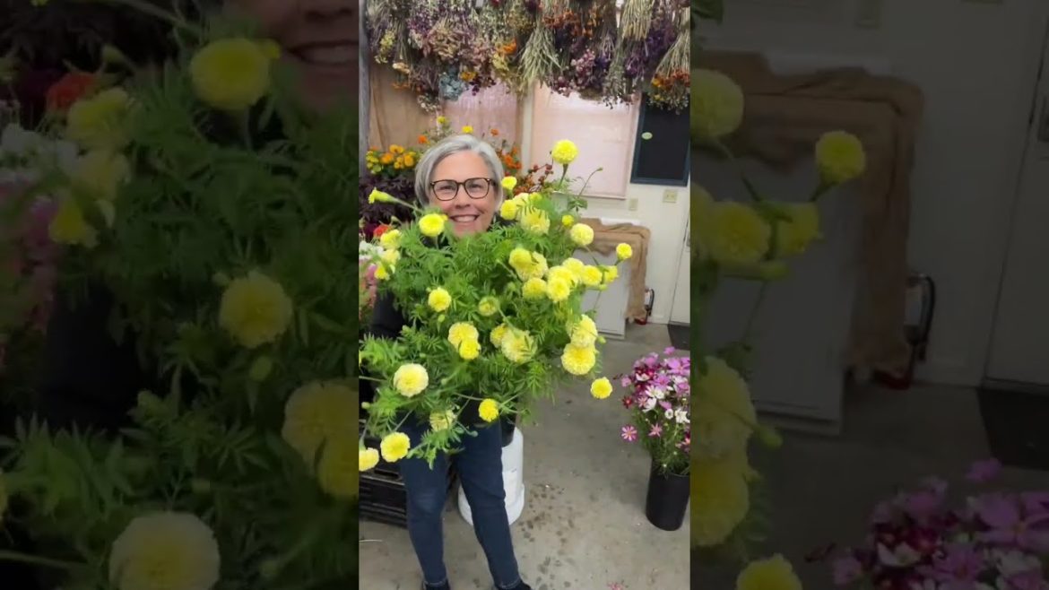 Fall flower harvest winners: