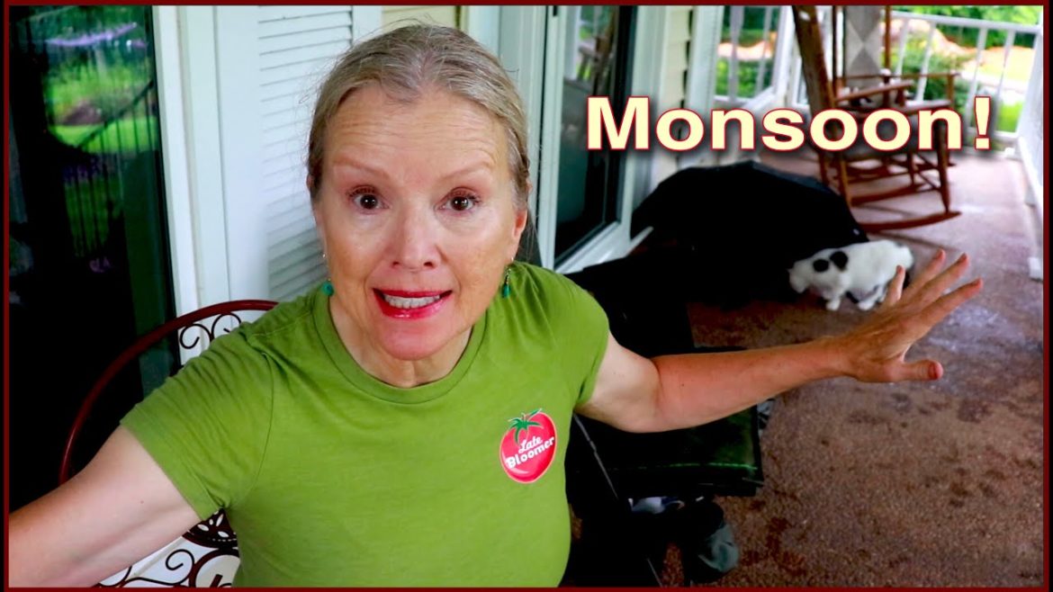 I thought my garden was washing AWAY!